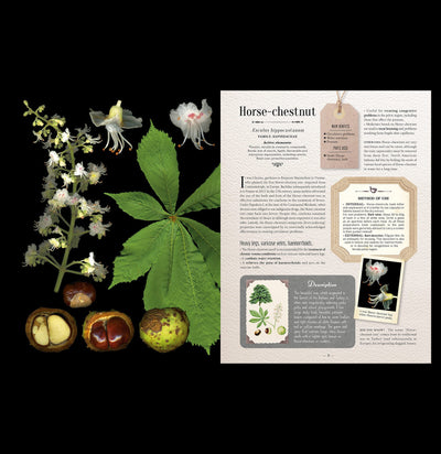 100 Plants That Heal Book - Paxton Gate