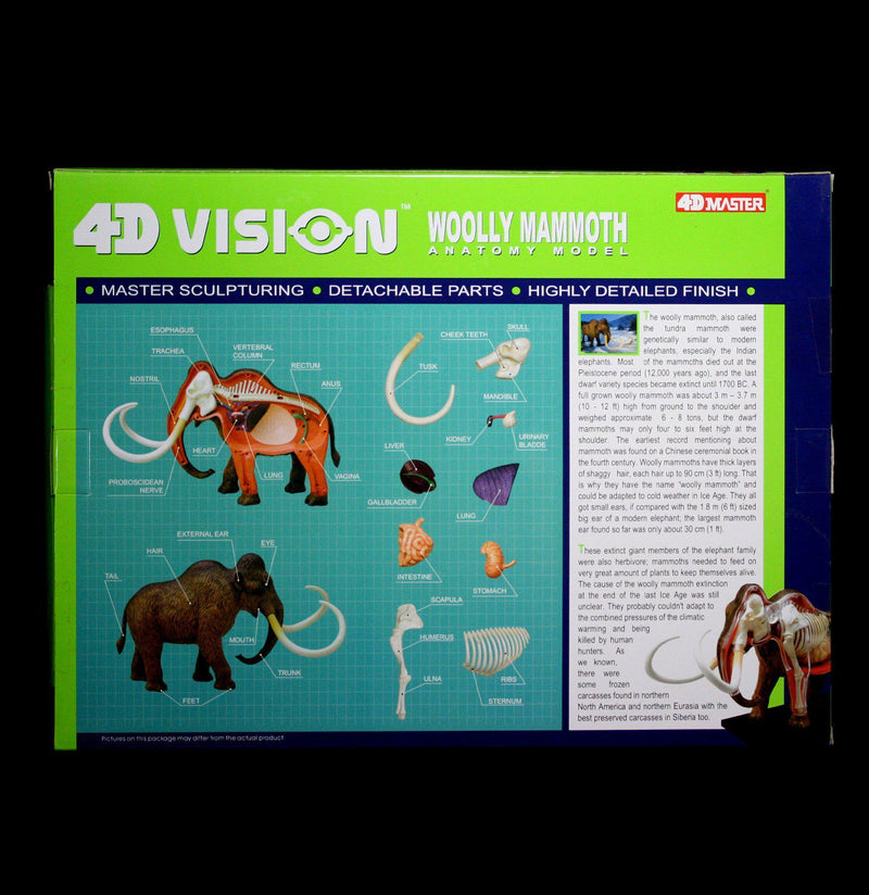 4D Woolly Mammoth Model - Paxton Gate