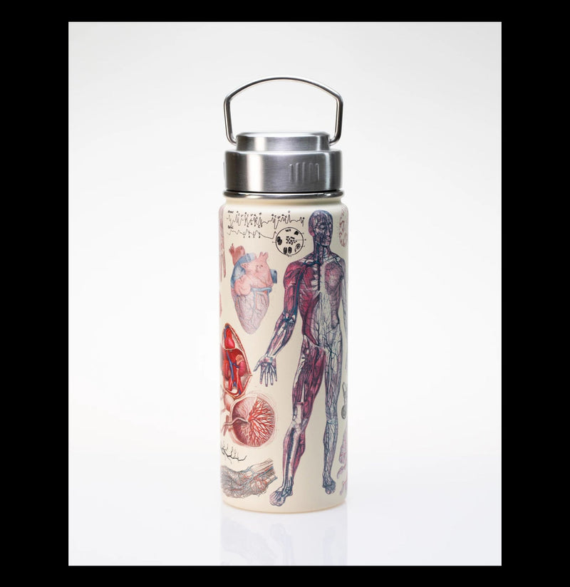 Anatomy Stainless Steel Vacuum Flask - Paxton Gate