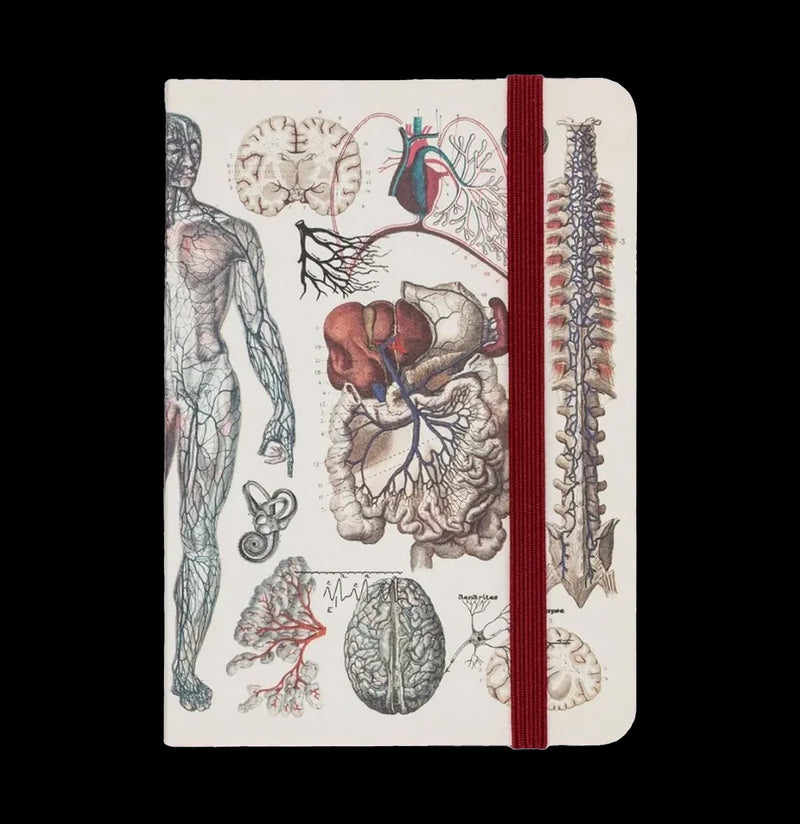 Anatomy & Physiology Observation Softcover-Notebooks-Cognitive Surplus-PaxtonGate