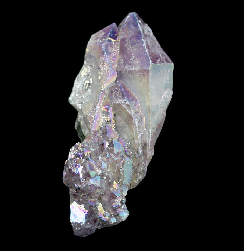 Angel Aura Amethyst Crystal Cluster - Paxton Gate