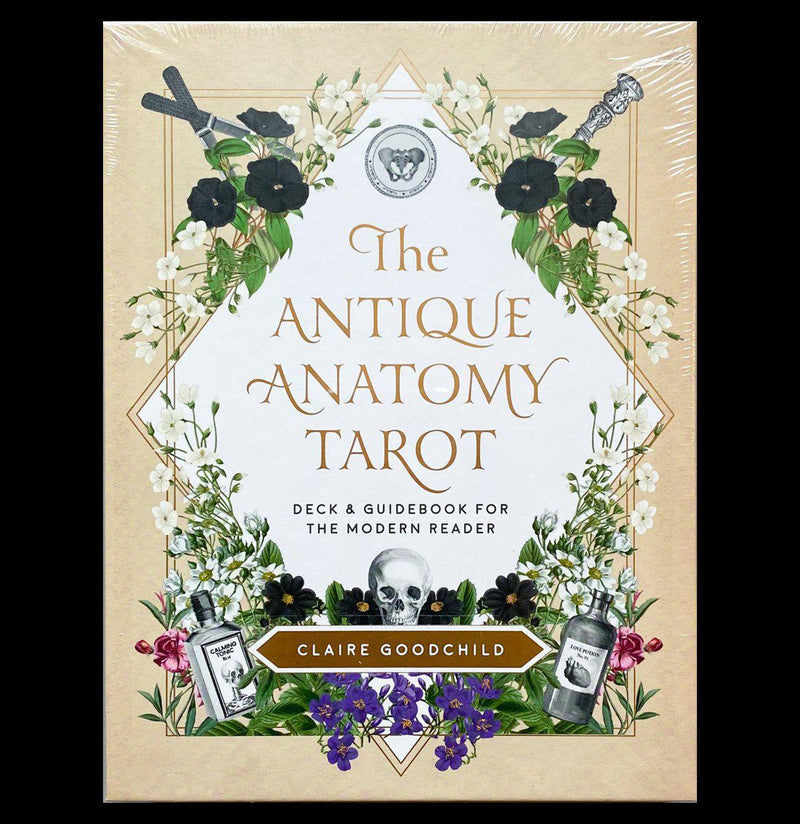 Antique Anatomy Tarot - Paxton Gate