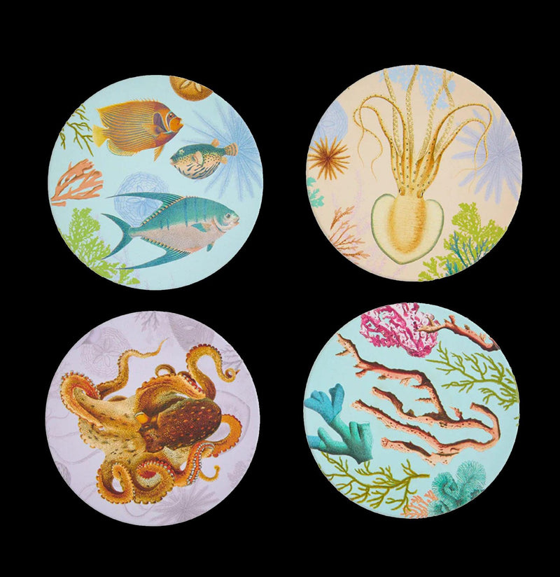 Art of Nature: Under the Sea Coaster Set - Paxton Gate