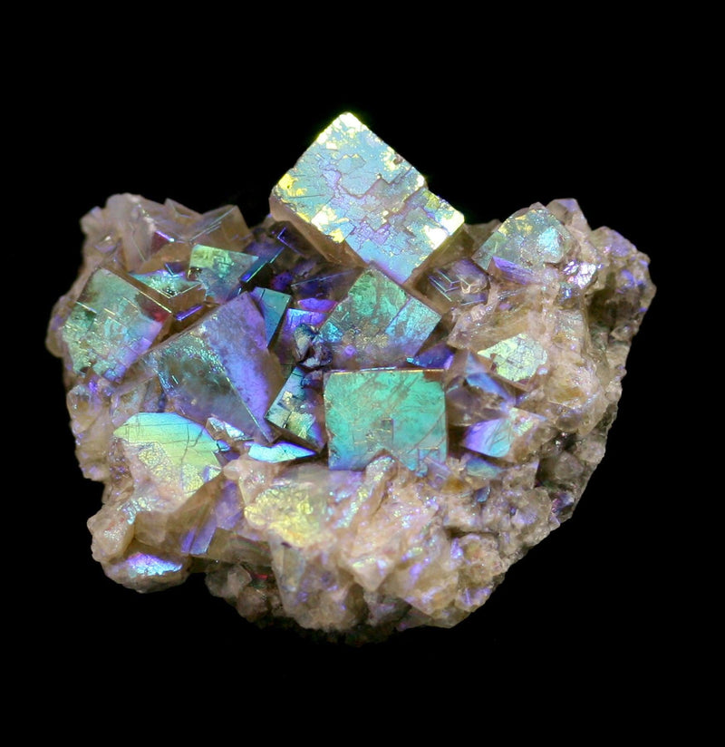 Aura Fluorite Crystal Cluster - Paxton Gate