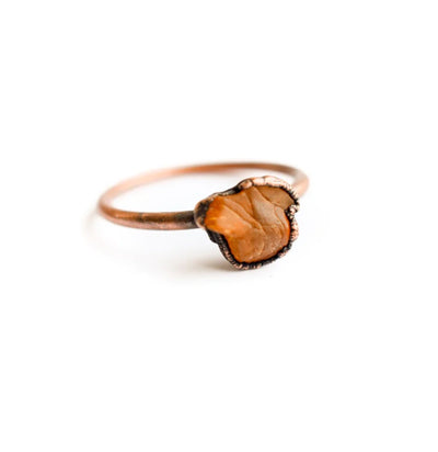 Baltic Amber Ring - Paxton Gate