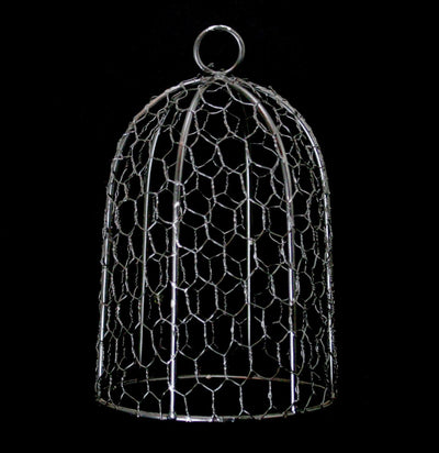 Barric Cloches - Paxton Gate