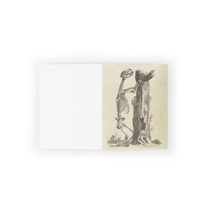 Bear Skeleton Greeting Card Pack - Paxton Gate