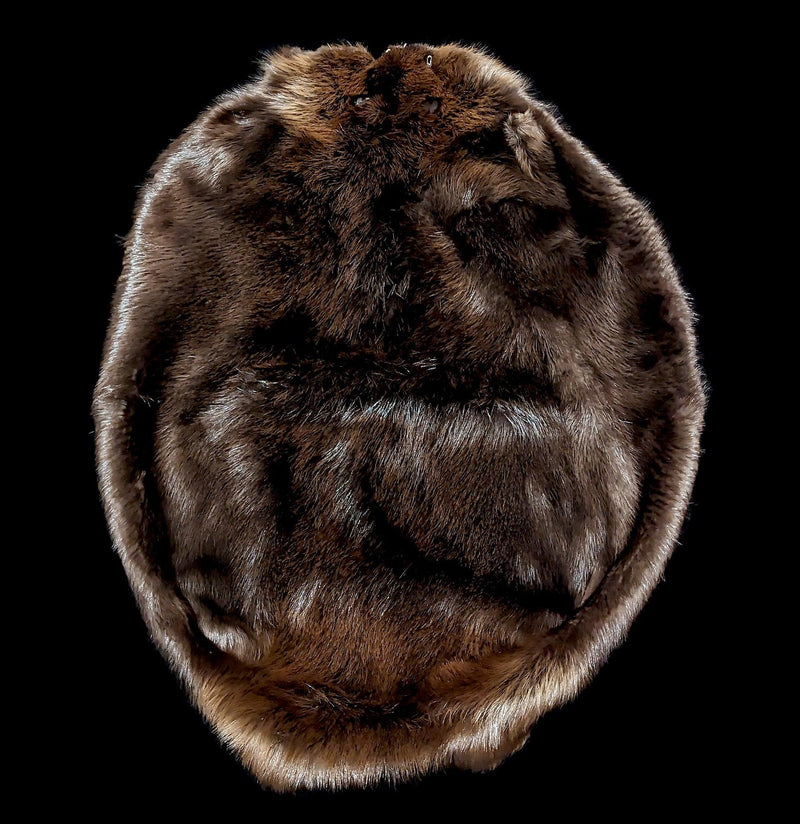 Beaver Pelt-Parts-Private Seller-PaxtonGate