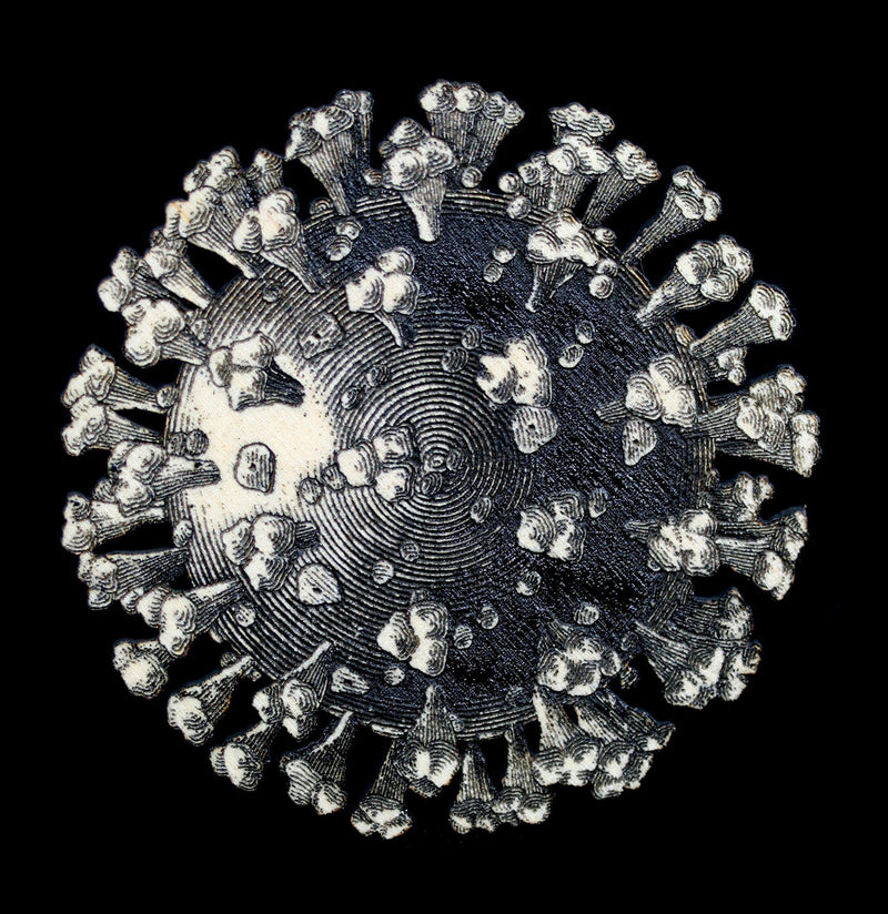 Birch Wood Coronavirus Magnet - Paxton Gate