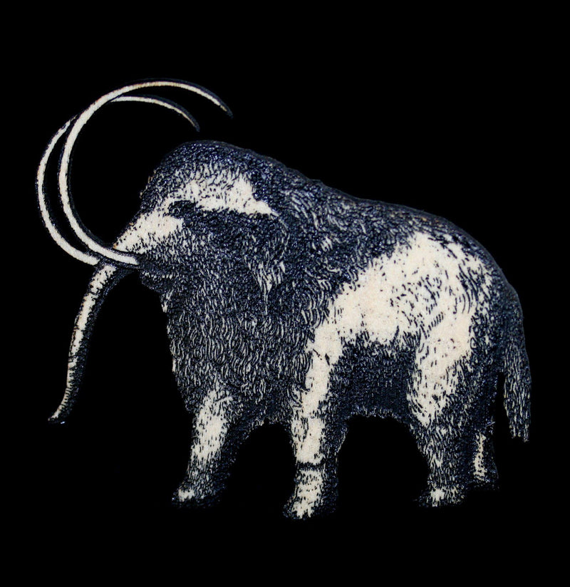 Birch Wood Woolly Mammoth Magnet - Paxton Gate