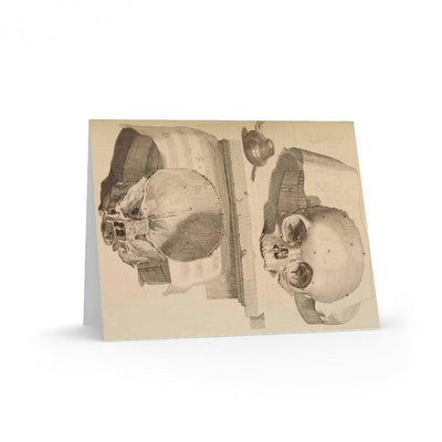 Bisected Human Skull Greeting Card Pack - Paxton Gate