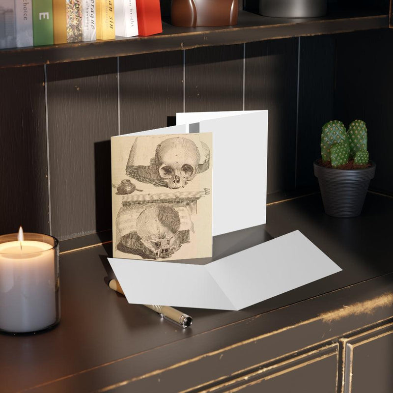 Bisected Human Skull Greeting Card Pack - Paxton Gate