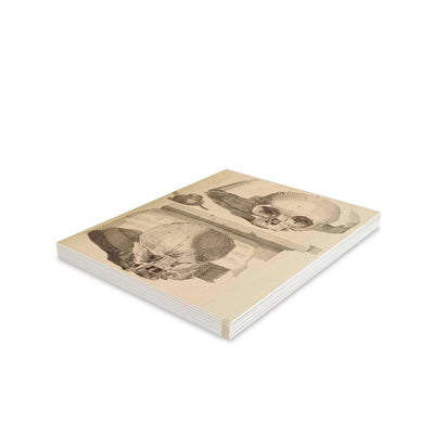 Bisected Human Skull Greeting Card Pack - Paxton Gate