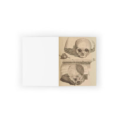 Bisected Human Skull Greeting Card Pack - Paxton Gate