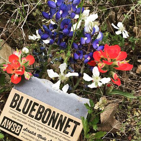 Bluebonnet Bar Soap - Paxton Gate