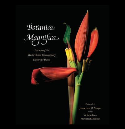 Botanica Magnifica: Portraits of the World's Most Extraordinary Flowers and Plants - Paxton Gate