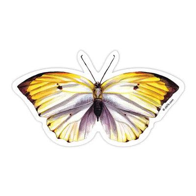 Butterfly Sticker - Paxton Gate