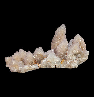 Cactus Quartz Cluster Specimen - Paxton Gate