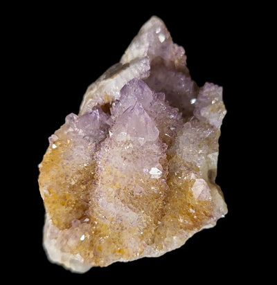 Cactus Quartz Crystal Cluster - Paxton Gate