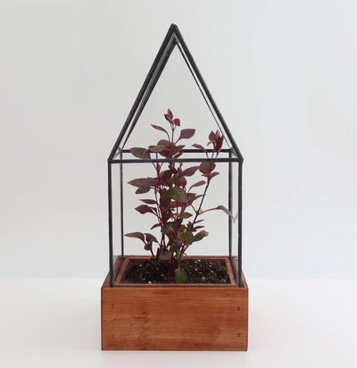 Cape Cod Terrarium-Terrariums-LeadHead Glass-PaxtonGate