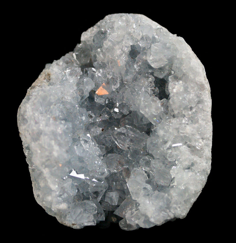 Celestite Crystal Cluster - Paxton Gate