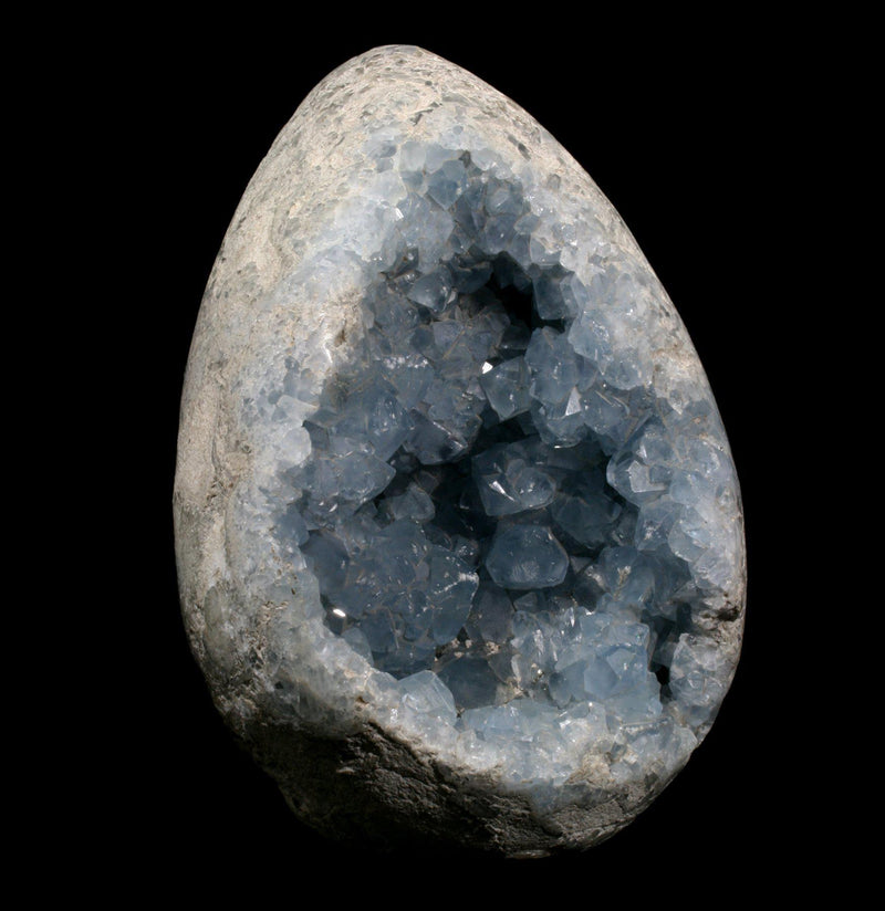 Celestite Crystal Geode - Paxton Gate