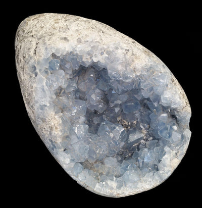 Celestite Crystal Geode - Paxton Gate