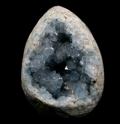 Celestite Crystal Geode - Paxton Gate