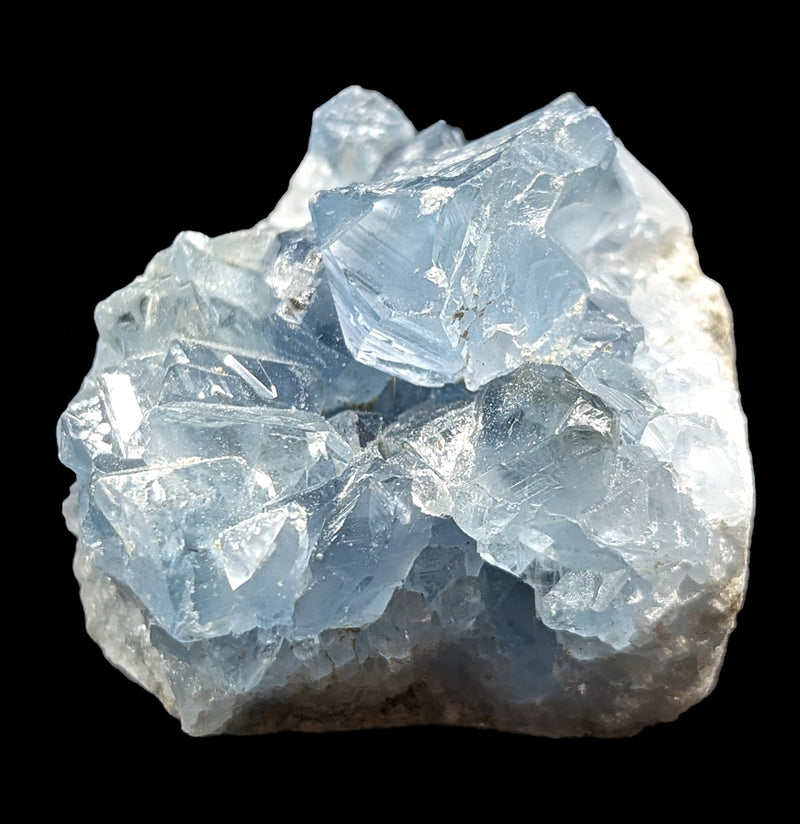 Celestite Crystal Geode Fragment-Minerals-Enter the Earth-PaxtonGate