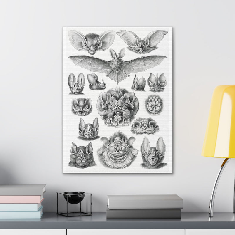 "Chiroptera Fledertiere" By Ernst Haeckel Canvas Gallery Wraps-Canvas-Printify-PaxtonGate