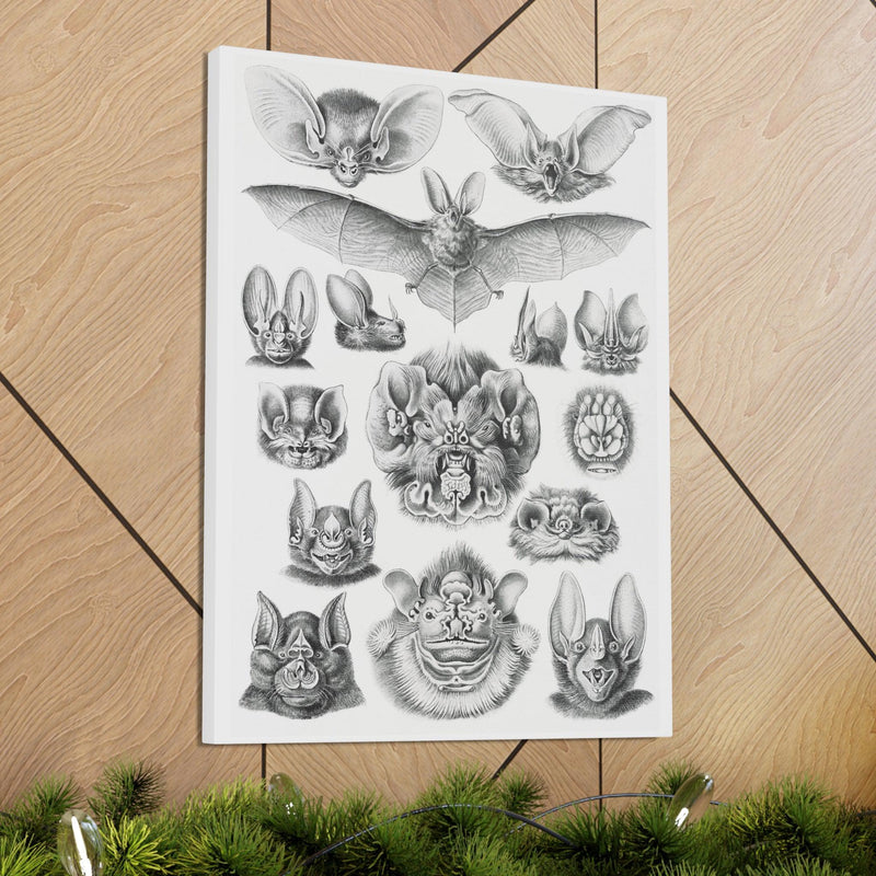 "Chiroptera Fledertiere" By Ernst Haeckel Canvas Gallery Wraps-Canvas-Printify-PaxtonGate