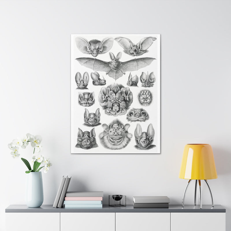 "Chiroptera Fledertiere" By Ernst Haeckel Canvas Gallery Wraps-Canvas-Printify-PaxtonGate