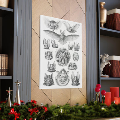 "Chiroptera Fledertiere" By Ernst Haeckel Canvas Gallery Wraps-Canvas-Printify-PaxtonGate