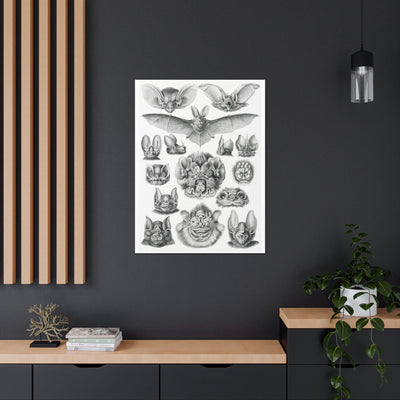 "Chiroptera Fledertiere" By Ernst Haeckel Canvas Gallery Wraps-Canvas-Printify-PaxtonGate