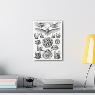 "Chiroptera Fledertiere" By Ernst Haeckel Canvas Gallery Wraps-Canvas-Printify-PaxtonGate