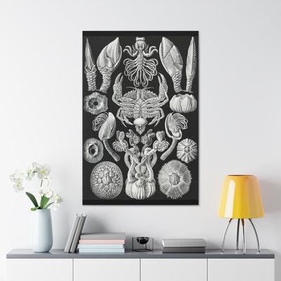 "Cirripedia Rankenkreble" By Ernst Haeckel Canvas Gallery Wraps-Canvas-Printify-PaxtonGate