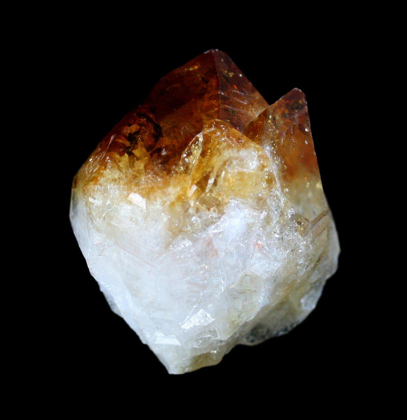 Citrine Crystal Point - Paxton Gate