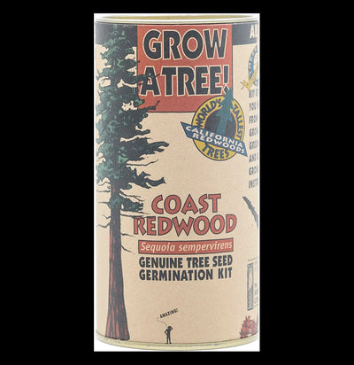 Coast Redwood Seed Grow Kit - Paxton Gate