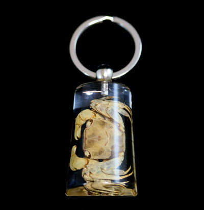 Crab Keychain - Paxton Gate