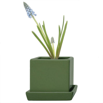 Cube & Saucer Planter - Paxton Gate