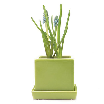 Cube & Saucer Planter - Paxton Gate