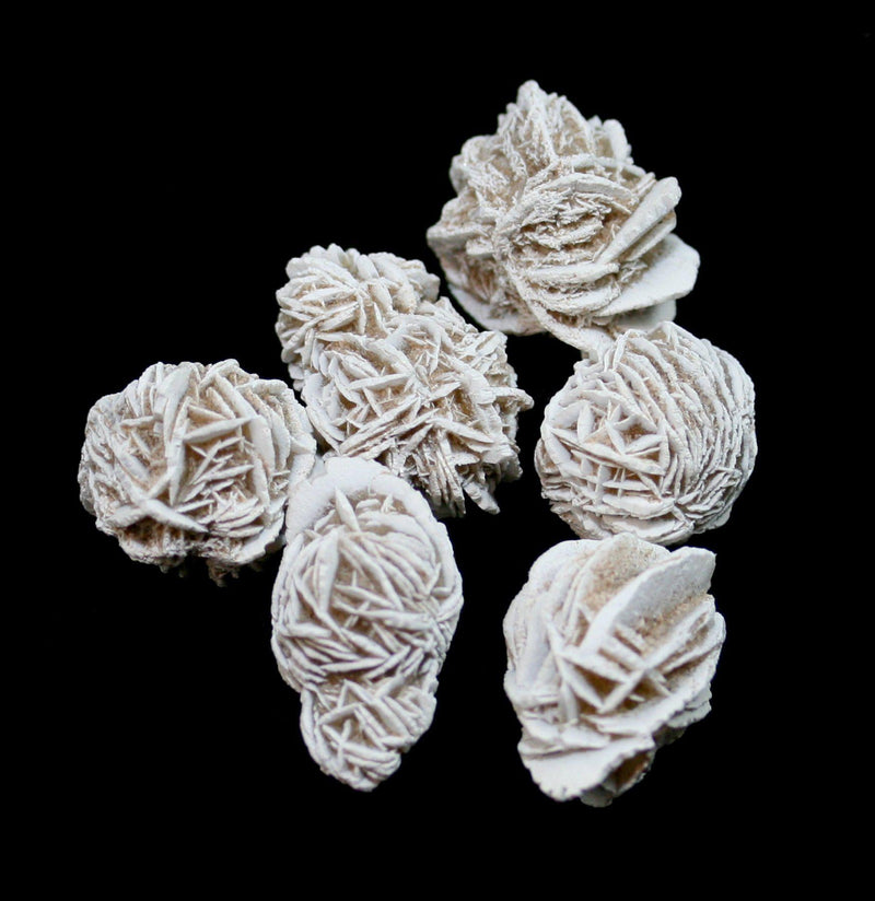 Desert Rose Gypsum Spheres - Paxton Gate