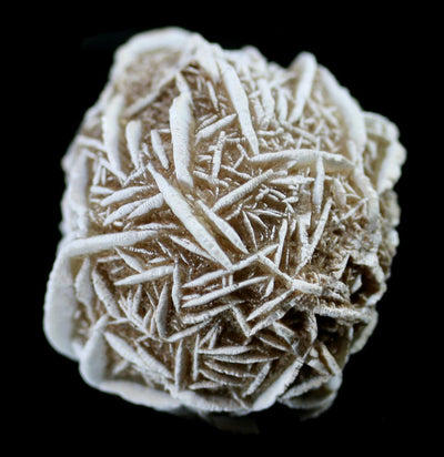 Desert Rose Gypsum Spheres - Paxton Gate