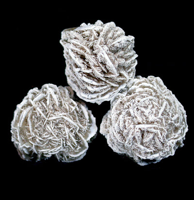 Desert Rose Gypsum Spheres - Paxton Gate