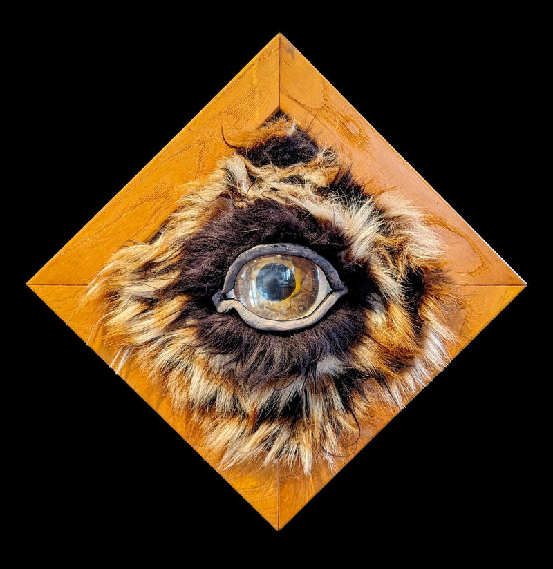 Diamond Framed Eye-Artwork-Doug Rhodes-PaxtonGate