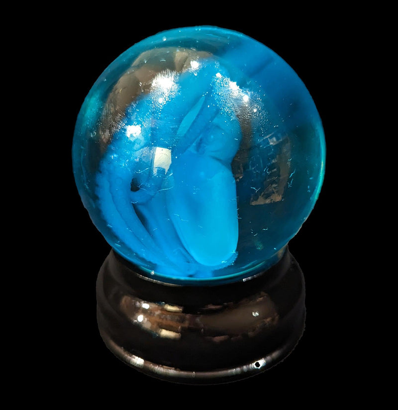 Diaphonised Blue Octopus Globe-WetSpecimn-Articulated Imagination-PaxtonGate