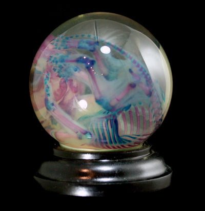 Diaphonized Kitten Wet Specimen Globe - Paxton Gate