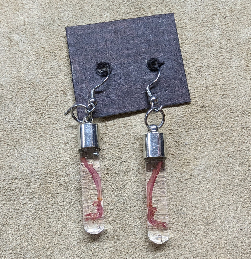 Diaphonized Mouse Arm Earrings - Paxton Gate