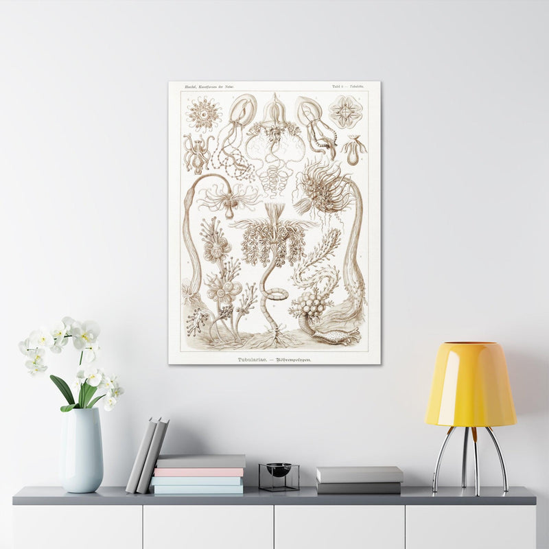 "diatomea schachtellinge" By Ernst Haeckel Canvas Gallery Wraps-Canvas-Printify-PaxtonGate