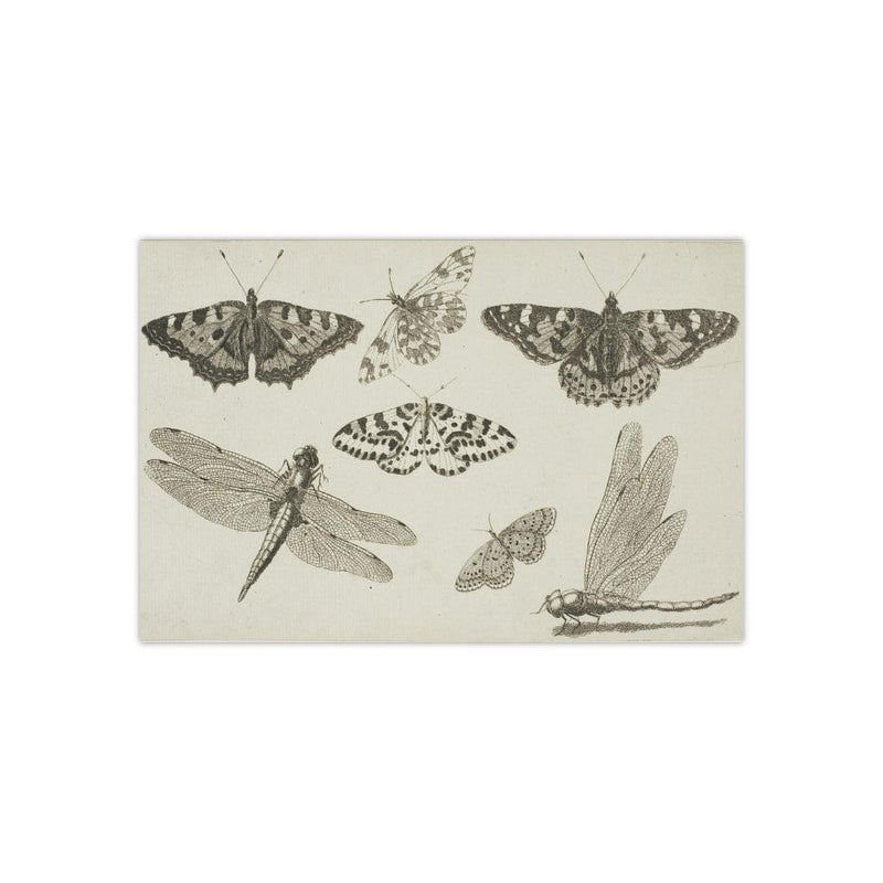 Dragonflies and Butterflies Satin Poster - Paxton Gate